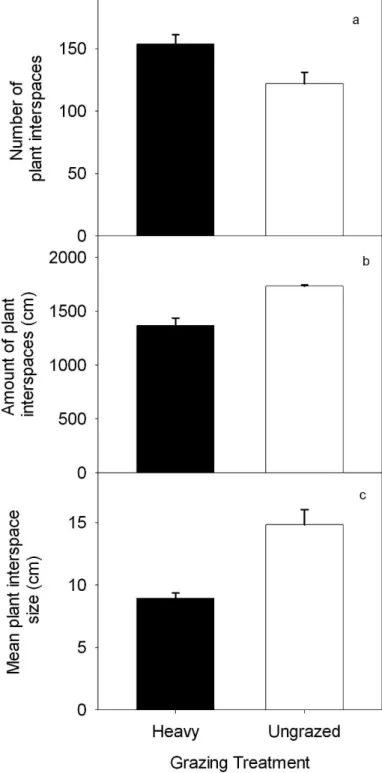 Fig. 1c). Litter cover in the plant interspaces was higher in the absence of grazing (80 6 1%) compared to the heavily grazed pastures (57 6 3%; P , 0.0001).