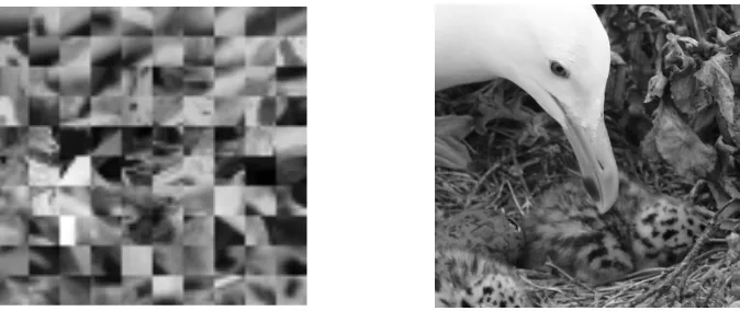 Figure 2.2: Image patches (left) obtained from larger raw images (sample on theright).