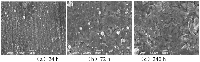 Figure 2. Micromorphology of the corrosion products of VM125HC steel after different time of immersion in the simulated oilfield water in an autoclave at 90 °C with a pressure of 4 MPa