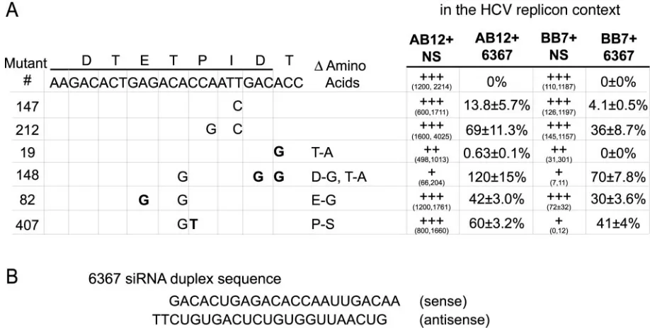 FIG. 6. Colony-forming abilities and 6367 resistance of AB12 and BB7 replicon RNAs carrying escape mutations