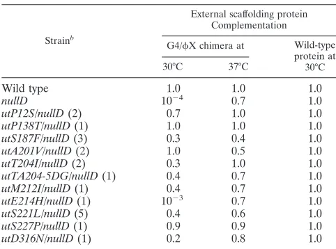 TABLE 1. Complementation of nullD and utilizer mutation/nullD�X174 mutants by wild-type and chimeric G4/�X174 externalscaffolding proteinsa