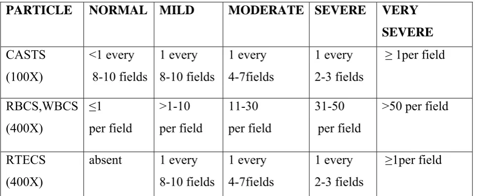 Table 4 : Quantification of urinary sediments. [102] 