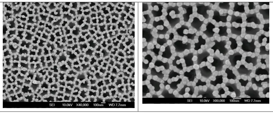 Figure 1. Field-emission SEM images of nanoporous gold electrode. The scale bar is 100 nm