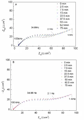 Figure 2.  Nyquist plots of PNA-modified nanoporous gold electrode in the presence of 500 nM complementary DNA target (A) and completely mismatched DNA target (B) with different hybridization time