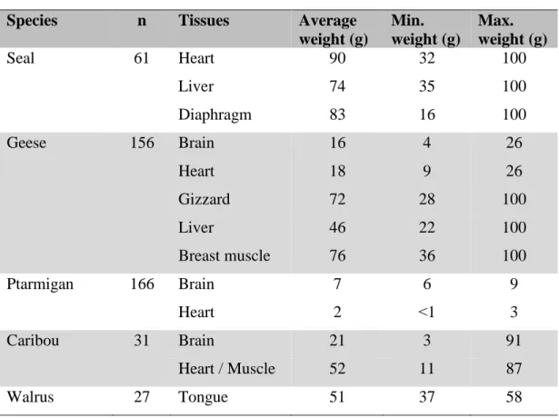 TABLE 3.1: AVERAGE WEIGHT OF TISSUES ANALYSED USING THE MC-PCR  METHOD FOR DETECTING T