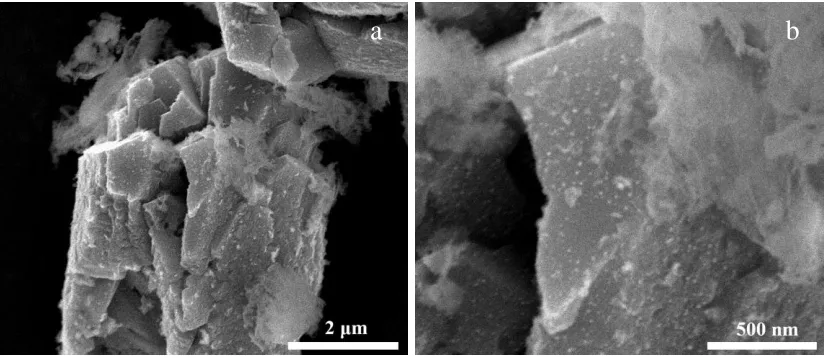 Figure 2. SEM images of MnCo2O4.5/graphene composite: (a) low magnification; (b) high magnification
