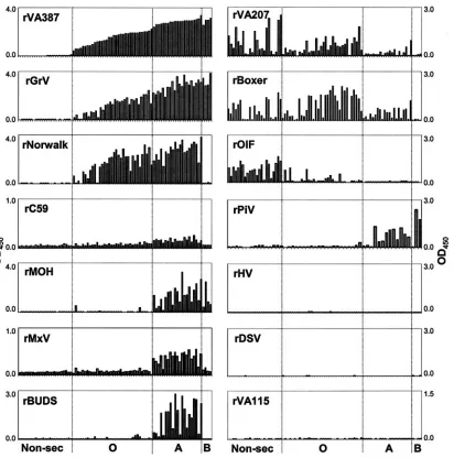 FIG. 1. Binding of recombinant VLPs of 14 noroviruses to saliva samples from individuals with different HBGA types