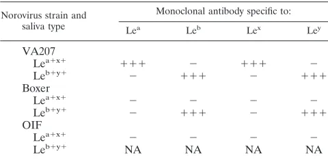 TABLE 3. Blocking of binding of VA207 and Boxer VLPs to salivaby monoclonal antibodies speciﬁc to HBGAsa