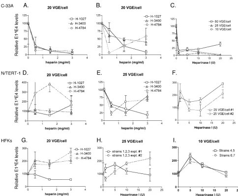 FIG. 5. Analysis of the role of heparan-sulfonated receptors in HPV31b infection of C-33A cells, N/TERT-1 cells, and low-passage HFKs
