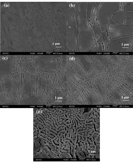 Figure 3. SEM micrographs of the Ag35Al65 samples under the as-spun and the de-alloyed in the 5 wt% HCl solution for different periods of time: (a) as-melt-spun, (b) 5 min, (c) 10 min, (d) 20 min, (e) 30 min