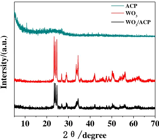 Figure 1. XRD patterns of ACP, WO3 and WO3@ACP  