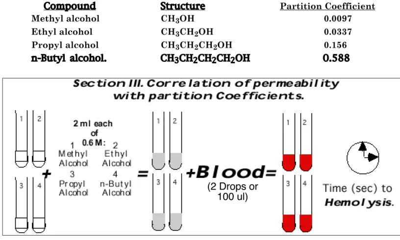 Figure 11.  Sequence of solution additions to the series of four (4) test tubes.