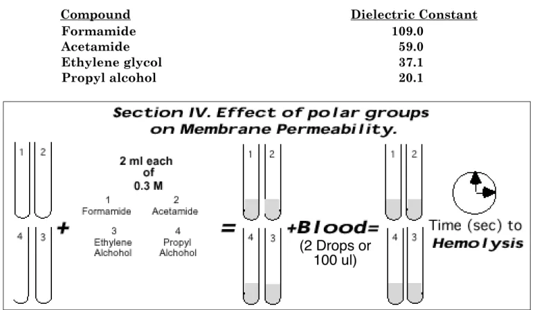 Figure 13.  Sequence of solution additions to the series of four (4) test tubes.