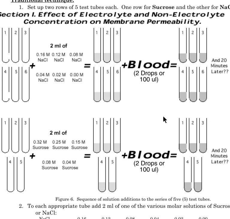 Figure 6.  Sequence of solution additions to the series of five (5) test tubes.