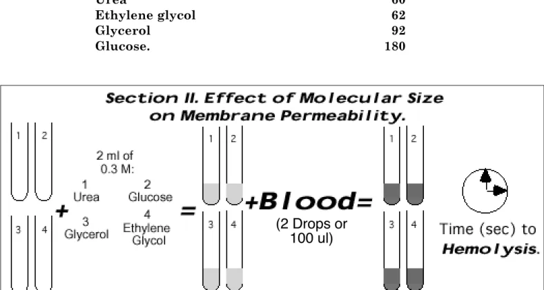 Figure 9.  Sequence of solution additions to the series of four (4) test tubes.