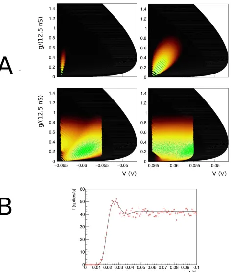 Fig 4. A: The evolution of the joint probability density function at four different points in time (1, 5, 15, 28 ms) in (V, g) space (V membranepotential, g conductance) for synaptic efficacy J = 0.05, Poisson generated input spike train with rate ν = 1000