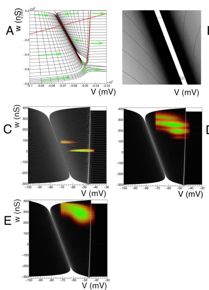 Fig 9. A: Overview of state space for the adaptive-exponential-integrate-and-fire neuron