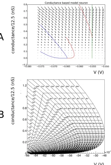 Fig 1. A: Vector field for a conductance based model, along with a few integral curves
