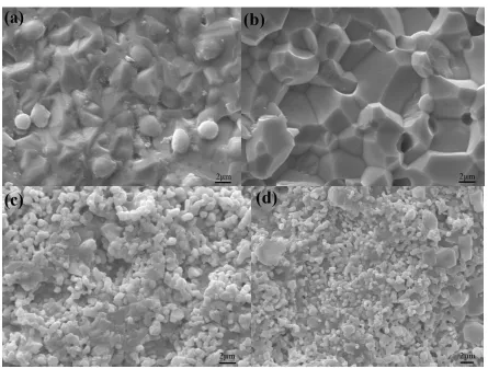 Figure 2. The surface and cross-sectional SEM images of SCEu-SG (a, b) and SCEu-SG-NK (c, d).