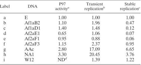 TABLE 4. Vegetative replication of HPV16 genomes