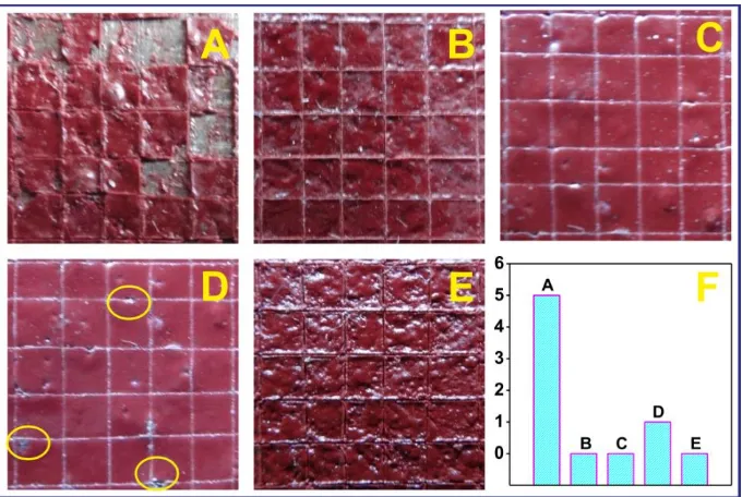 Figure 8. Adhesive properties of EP-PVB coatings painted onto different steel surfaces: (A) with untreated rust layer, (B) with 2-picolinicacid treated layer, (C) with 2-hydroxypyridine treated layer, (D) with 2-aminopyridine treated layer, (E) without rust; (F) adhesion level summary of the coatings 