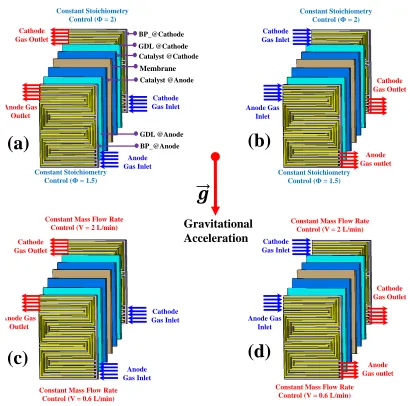 Figure 3. Schematics of a computational domains for PEMFC system experiments: (a) case 1 in which the control of constant gas stoichiometry ratio is applied and supplied gas direction is from the lower side to upper side; (b) case 2 in which the control of