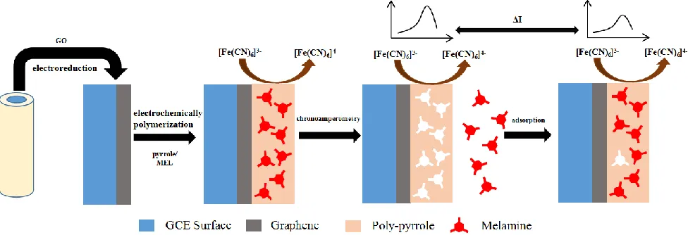 Figure 1.  The procedure for the preparation of the MIPPy/GR/GCE and detection mechanism for MEL 