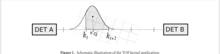 Figure 1. Schematic illustration of the TOF kernel application.