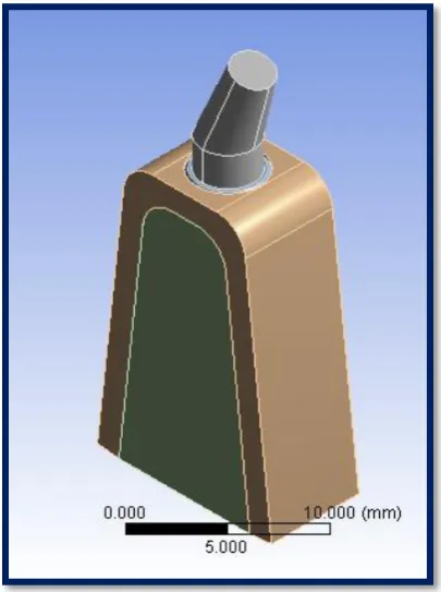 FIGURE 2 (C): PS  20 - AN IMPLANT 