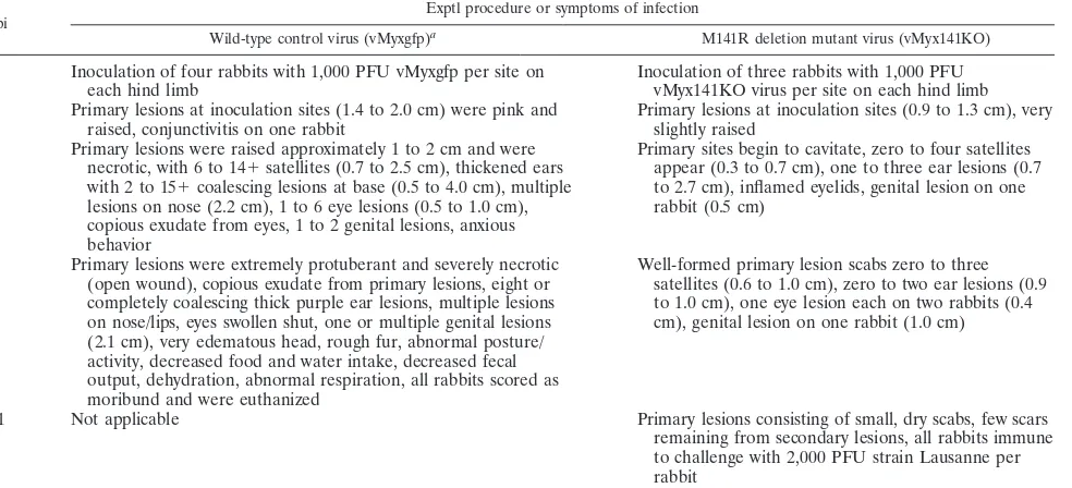 TABLE 1. Pathogenicity of vMyx141KO mutant myxoma virus in European rabbits