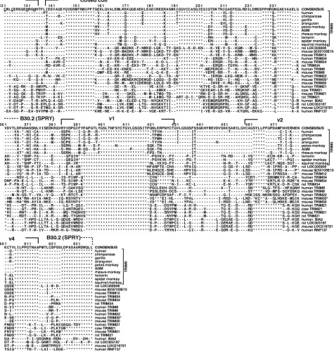 FIG. 1—Continued.
