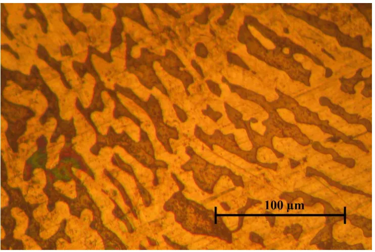 Figure 1.  Microphotography of  Au58.5-Ag20.75-Cu20.75 alloy 