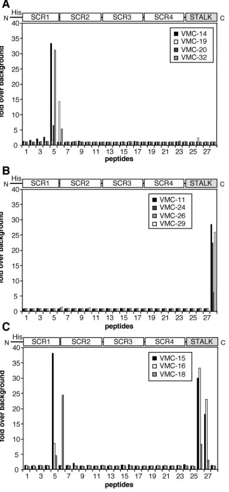 FIG. 6. Peptide mapping of anti-B5R(275t) MAbs by ELISA. Foreach peptide, 10 pmol was immobilized on a 96-well streptavidin-