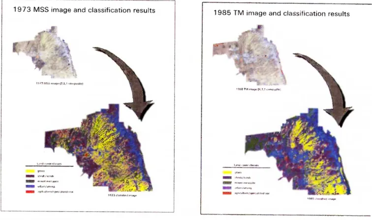 Fig.  4.  1973  MSS image  and  classification results. 