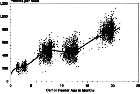 Fig,  1.  Calf  scale weights  and estimated polynomial age growth  function for steer  calves