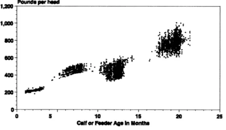 Fig.  2.  Modeled calf  weights  based  on  equation  1. 