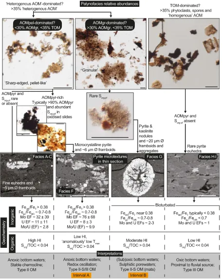 Fig. 10. Summary of key observations and interpretations spanning palynology and organic geochemistry (this study) and sedimentology (Emmings et al., 2019)