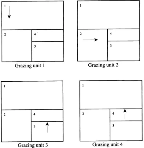 Fig.  2.  Paddock arrangement and starting point  (T)  in the rotation of each grazing  unit
