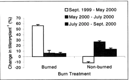 Fig,  1.  Seasonal  changes  in  tiller numbers  (±SE)  from September  1999 to  September  2000 on  burned and non-burned plants  following  a spring wildfire  in  1999 (n  = 8)