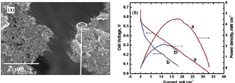 Figure 2.  (A) Scanning electron micrograph showing carbon fiber electrode (CFE) deposited with SWCNT (B) Power density and galvanostatic polarization data at 25° C of an MEA prepared using (a) CFE/SES-SWCNT/Pt-Ru and (b) CFE/Carbon nano fiber/Pt-Ru anodes