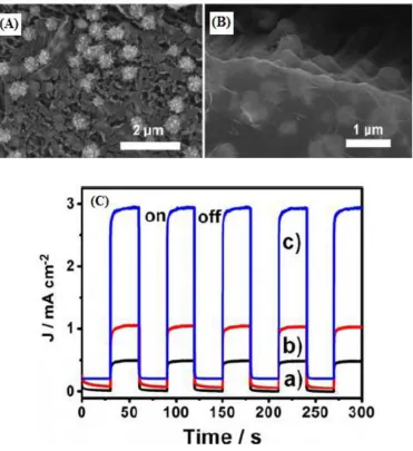 Figure 3.  (A & B) SEM images of Pt-TNTs/RGO nanostructures (C) Photocurrent responses of (a) TNTs, (b) Pt-TNTs and (c) Pt-TNTs/RGO electrode under light irradiation in 1.0 M CH3OH + 0.5 M KOH solution recorded at -0.3 V