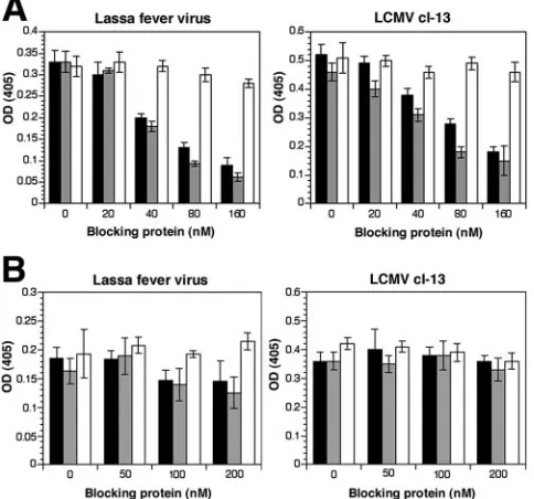 FIG. 6. LFV and LCMV cl-13 compete with laminin �teins in the concentrations mentioned above for 12 h at 6°C