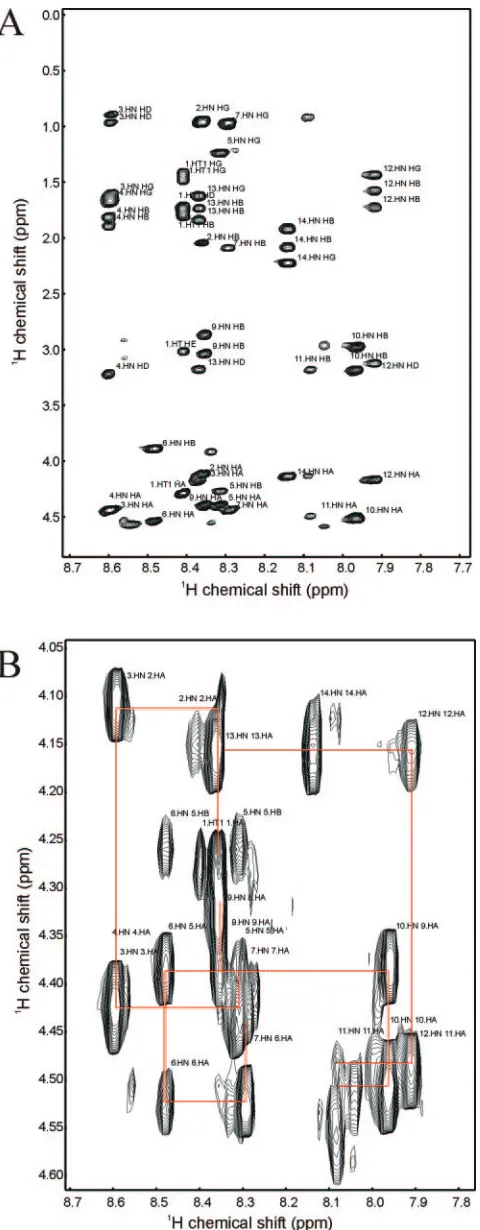 FIG. 3. 2D NMR spectra of wild-type gH peptide. (A) 2D TOCSYspectrum highlighting the amide side-chain correlations