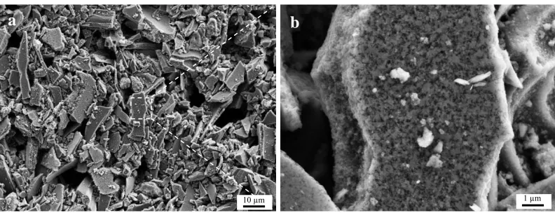 Figure 2.  (a) SEM images of the activated carbon electrode material, (b) Magnified porous surface of a carbon particle shown in (a)