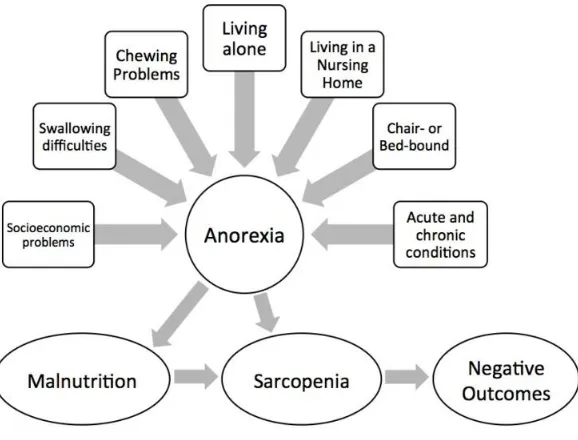 Figure 9 Risk factors of anorexia of aging 