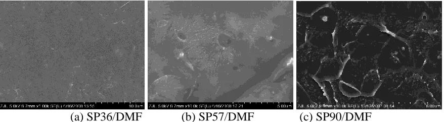 Figure 3.  Interaction between-SO3H groups and DMF solvent 