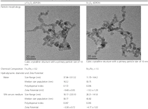 Table 1 Physico-chemical characteristics of Fe3O4 and γ-Fe2O3 dSPION