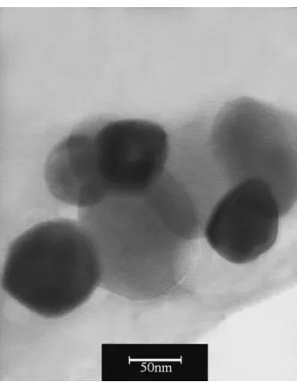 Figure 1.  TEM image of WC nano-powders used to fabricate nanocomposite. 