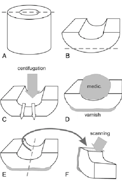 Figure 1: Schematic representation of specimen preparation for sealer placement 
