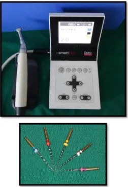 Figure 2 : Xsmart plus(Dentsply) and Protaper files S1,S2,F1,F2,F3  
